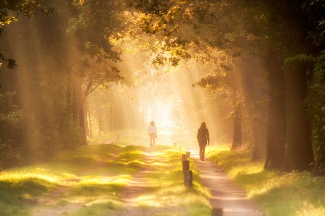 человек идёт по дорожке парка в спокойном темпе